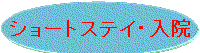 �p�[�������h�a�@�@�V���[�g�X�e�C�@�̂��Љ�